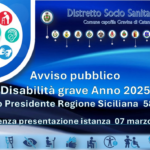 Disabilità grave Anno 2025